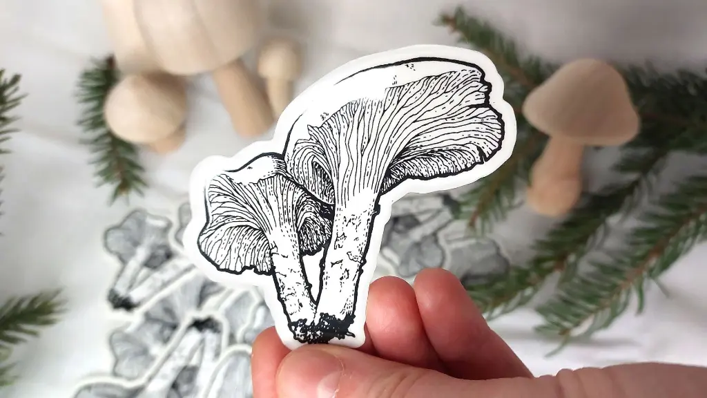 Mushrooms_chanterelle_pres_pic.webp