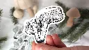 Mushrooms_chanterelle_pres_pic.webp