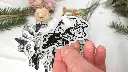 Skulls_crow_pres_pic.webp