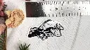 Skulls_crow_size.webp