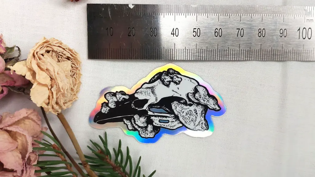 Skulls_crowholo_size.webp