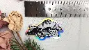 Skulls_crowholo_size.webp