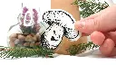 HauntedMushrooms_void_clear_pic.webp