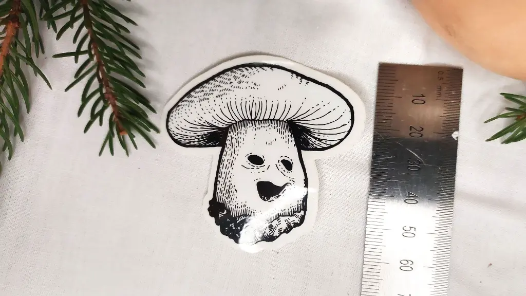 HauntedMushrooms_void_size.webp