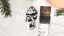 HauntedMushrooms_mutant_size.webp