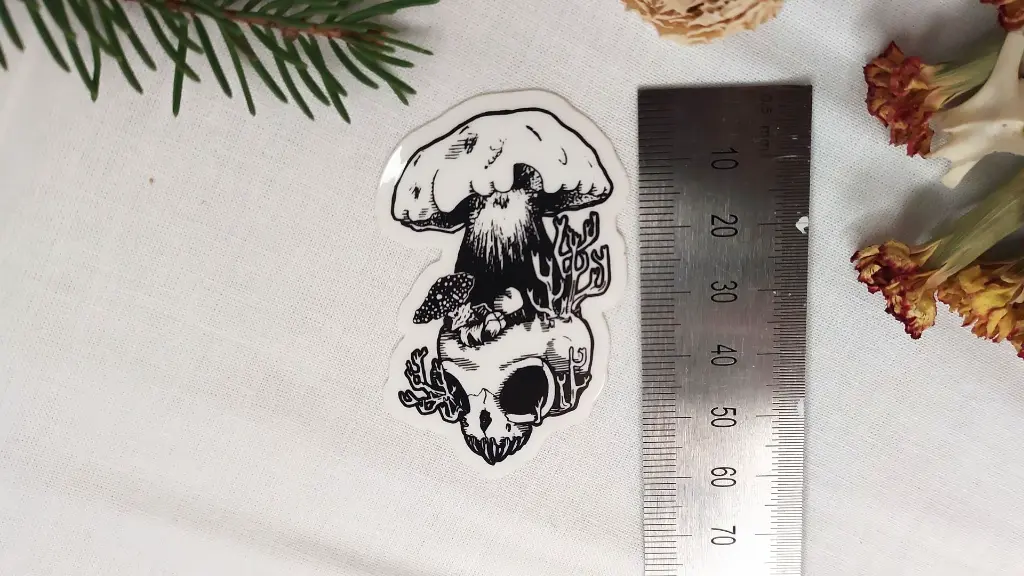 Skulls_alien_size.webp