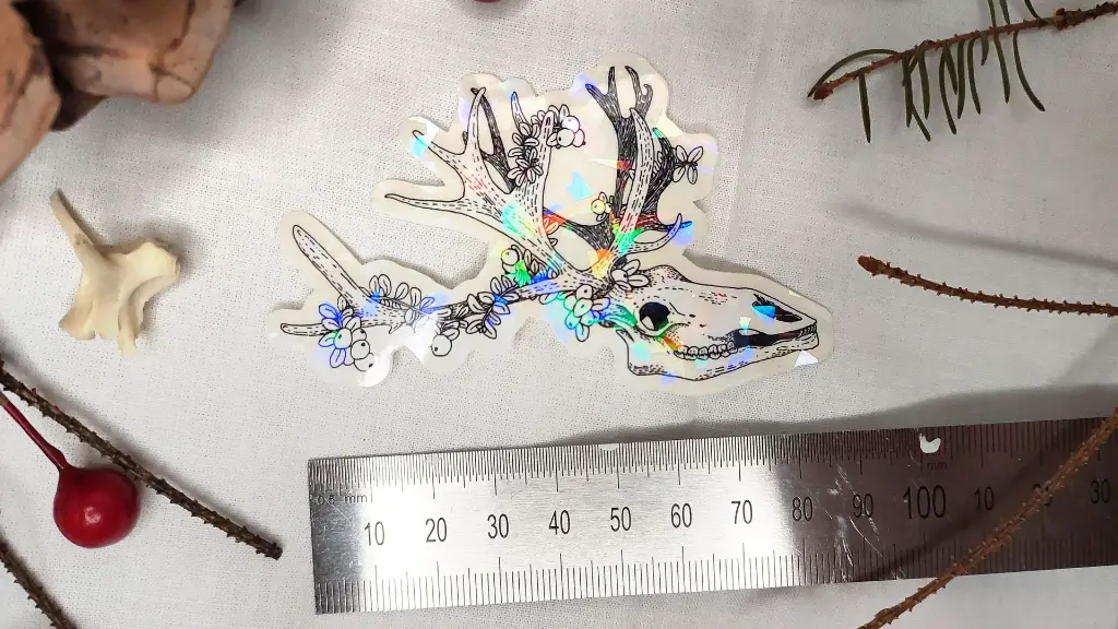Skulls_winterreindeer_size.webp