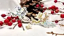Skulls_winterreindeer_both.webp