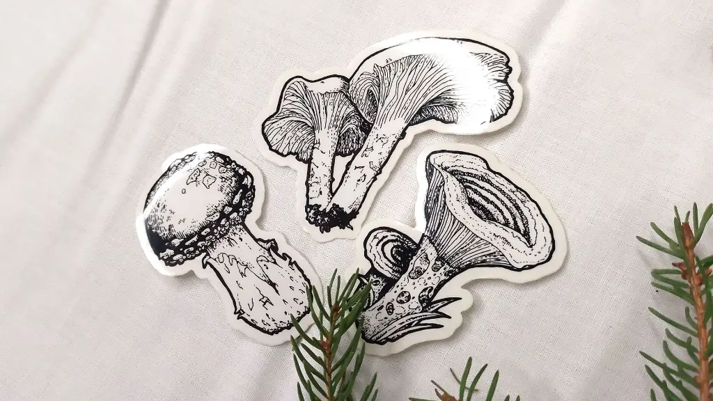Mushrooms_all.webp