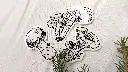 Mushrooms_all.webp
