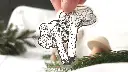 Mushrooms_chanterelle_clear_pic.webp