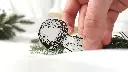 Mushrooms_agaric_clear_pic.webp