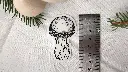 Mushrooms_agaric_size.webp