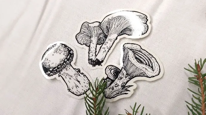 Trio de champignons - Autocollants transparents