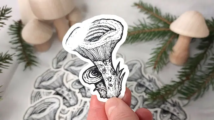 Saffron milk cap (Lactarius deliciosus) - Clear sticker