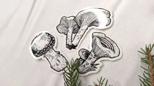 Mushroom trio - Clear stickers