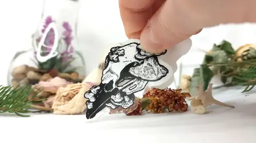 Mushrooms on crow skull - Clear Sticker