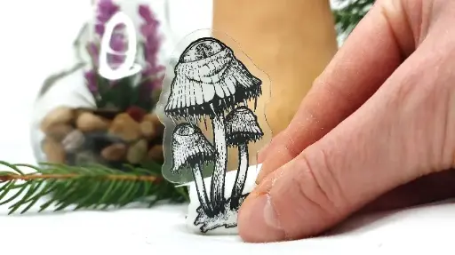 Mutant mushroom - Clear sticker
